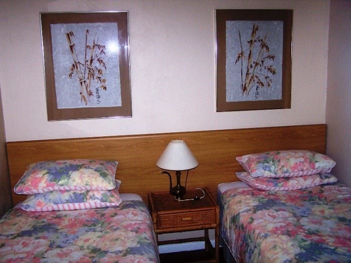 Second Bedroom - Twin single beds